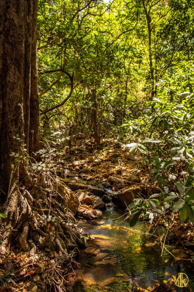 Sénégal oriental-105